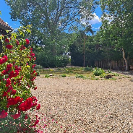 The Reading Whole Apartment With Private Lake And Gardens Экстерьер фото