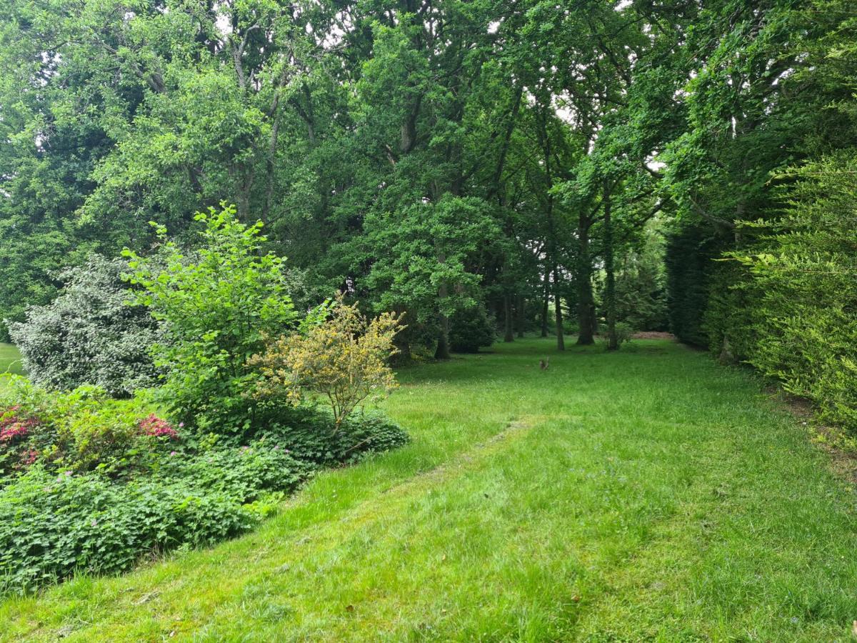 The Reading Whole Apartment With Private Lake And Gardens Экстерьер фото